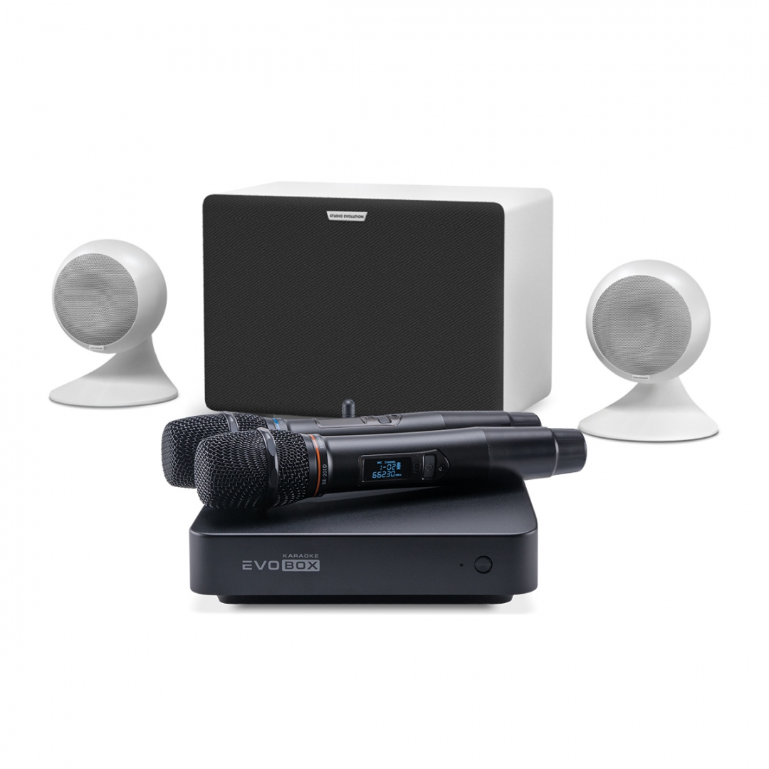 караоке-комплект EVOBOX Classic + EvoSound Sphere 2.1 в Уфе