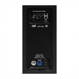 Активная акустическая система AST-312A в Уфе