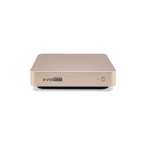 EVOBOX с микрофонами в Уфе